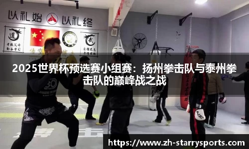 2025世界杯预选赛小组赛：扬州拳击队与泰州拳击队的巅峰战之战